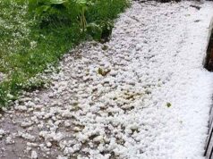 В селі Грибовиця, що біля Нововолинська, випав град! В селі Грибовиця