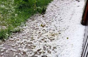 В селі Грибовиця, що біля Нововолинська, випав град! В селі Грибовиця