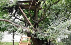 Хостел на Нововолинській, 53 Хостел на Нововолинській