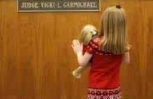 Адвокат із Нововолинська допомогла дітям сиротам визнати право власності на спадкове майно Адвокат із Нововолинська допомогла дітям сиротам визнати право власності на спадкове майно