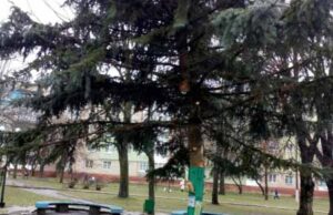 На Шахтарському м-ні встановили ялинку На Шахтарському м-ні встановили ялинку