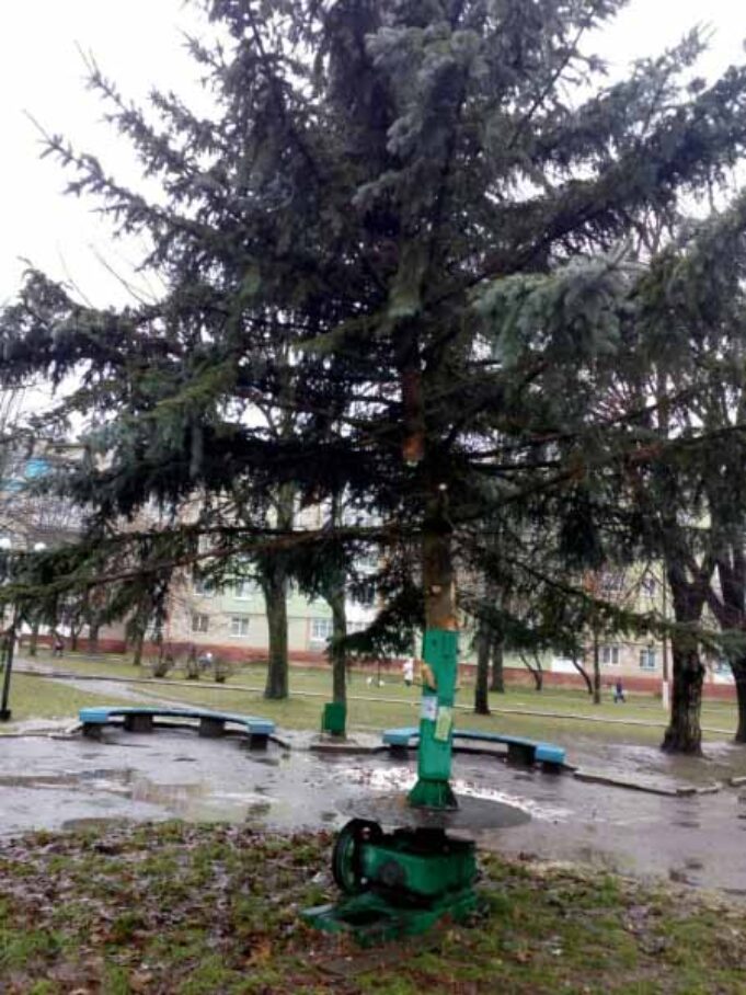 На Шахтарському м-ні встановили ялинку На Шахтарському м-ні встановили ялинку