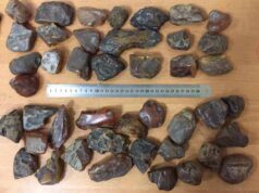 Волинські митники вилучили незаконний вантаж бурштину вагою 1,7 кг Волинські митники вилучили незаконний вантаж бурштину вагою 1