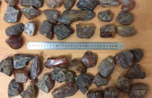 Волинські митники вилучили незаконний вантаж бурштину вагою 1,7 кг Волинські митники вилучили незаконний вантаж бурштину вагою 1