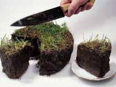 У Нововолинську – 73,4 гектара землі для ведення бізнесу У Нововолинську - 73