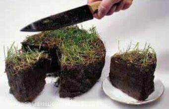 У Нововолинську – 73,4 гектара землі для ведення бізнесу У Нововолинську - 73