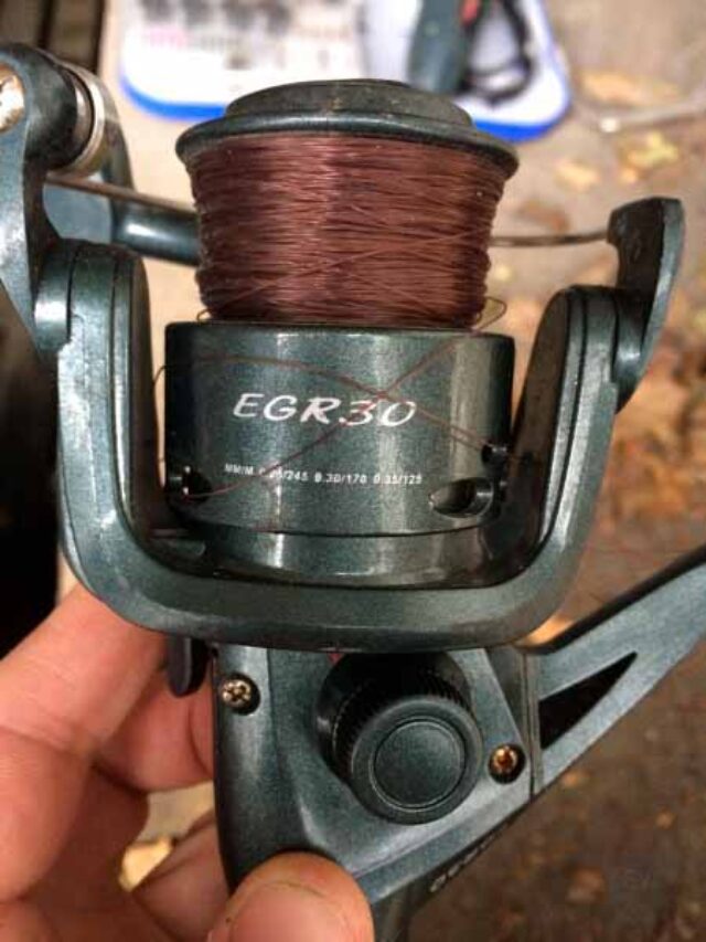 Нововолинці – чемпіони світу. Нововолинці – чемпіони світу.