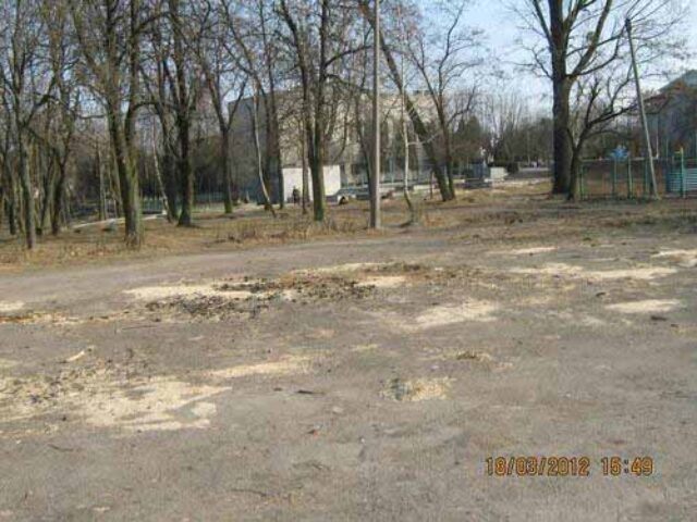 Торнадо над парком у Нововолинську Торнадо над парком у Нововолинську