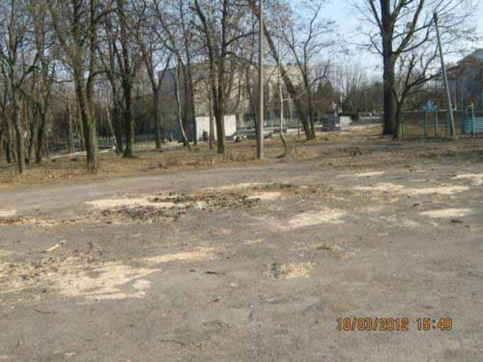 Торнадо над парком у Нововолинську Торнадо над парком у Нововолинську