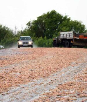 І знову курячі відходи на дорозі біля «Курчака» (ФОТО/ВІДЕО)