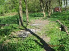 Про «Козлячий парк» із болем та щемом Про «Козлячий парк» із болем та щемом