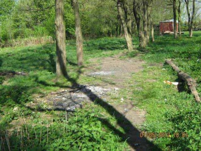 Про «Козлячий парк» із болем та щемом Про «Козлячий парк» із болем та щемом