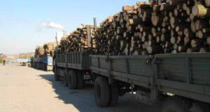 Протест МО «Конгрес Українських Націоналістів» м. Нововолинська Протест МО «Конгрес Українських Націоналістів» м. Нововолинська