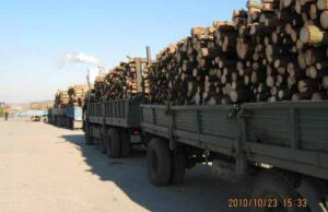 Протест МО «Конгрес Українських Націоналістів» м. Нововолинська Протест МО «Конгрес Українських Націоналістів» м. Нововолинська