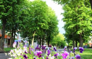 Хто став переможцем ІІ туру конкурсу на написання проєкту Гімну Нововолинська Хто став переможцем ІІ туру конкурсу на написання проєкту Гімну Нововолинська