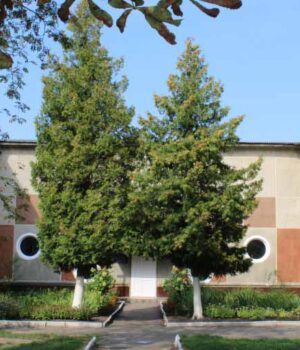 З понеділка у Нововолинську запрацює садочок №3