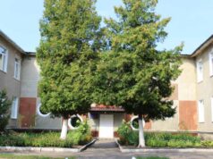 У нововолинських дитсадках працює 19 чергових груп У нововолинських дитсадках працює 19 чергових груп