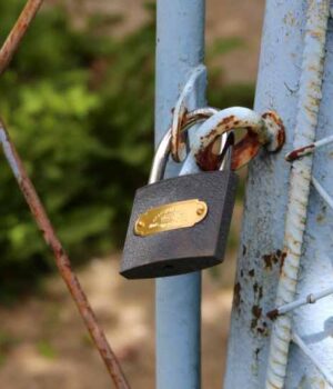 img_9977_1 Неподалік Нововолинська у людей "віджимають" дачі. ВІДЕО