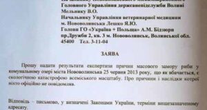 Причини замору риби у Нововолинську: хто винен? Причини замору риби у Нововолинську: хто винен?