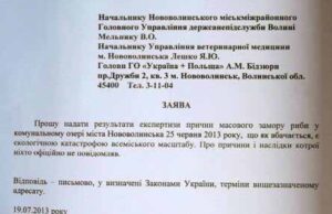 Причини замору риби у Нововолинську: хто винен? Причини замору риби у Нововолинську: хто винен?