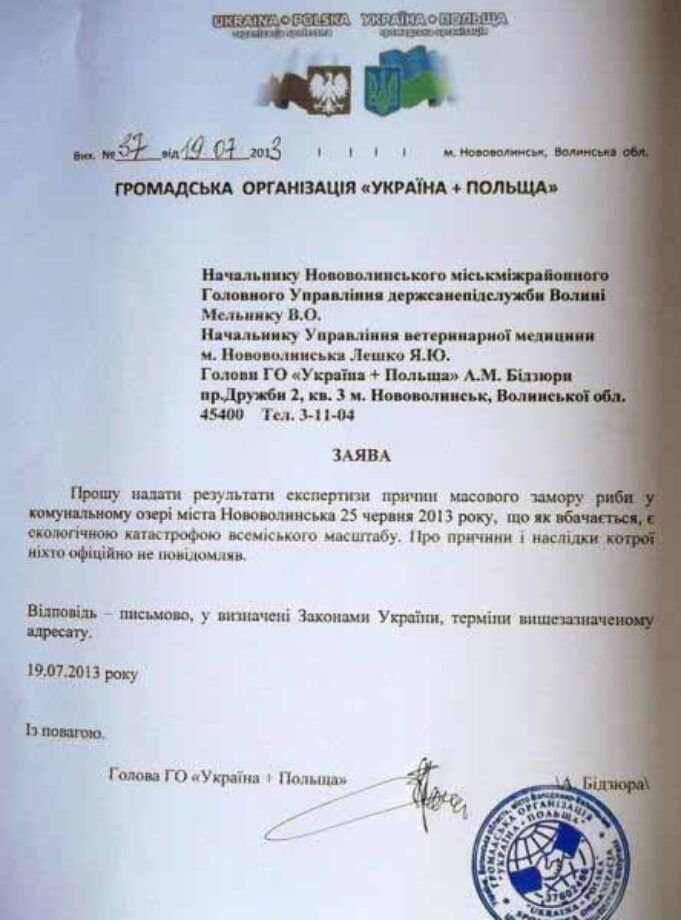 Причини замору риби у Нововолинську: хто винен? Причини замору риби у Нововолинську: хто винен?