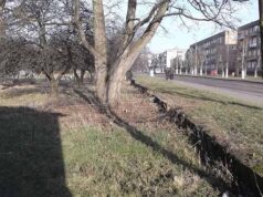 Азія в центрі Європи. Частина друга — «земельні баталії» Азія в центрі Європи. Частина друга — «земельні баталії»