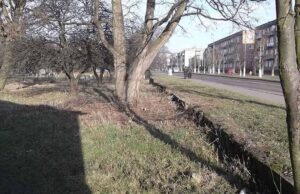 Азія в центрі Європи. Частина друга — «земельні баталії» Азія в центрі Європи. Частина друга — «земельні баталії»