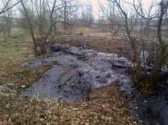 У «Козлячому парку» із землі потекла субстанція чорного кольору!!! У «Козлячому парку» із землі потекла субстанція чорного кольору!!!