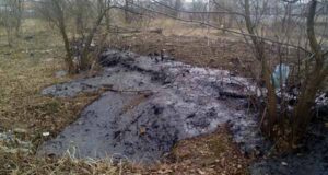 У «Козлячому парку» із землі потекла субстанція чорного кольору!!! У «Козлячому парку» із землі потекла субстанція чорного кольору!!!