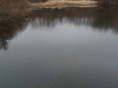 На річці Західний Буг вилучено браконьєрські сіті, в яких заплуталась риба! На річці Західний Буг вилучено браконьєрські сіті