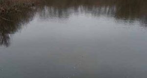 На річці Західний Буг вилучено браконьєрські сіті, в яких заплуталась риба! На річці Західний Буг вилучено браконьєрські сіті