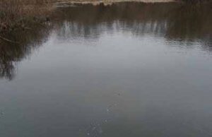 На річці Західний Буг вилучено браконьєрські сіті, в яких заплуталась риба! На річці Західний Буг вилучено браконьєрські сіті