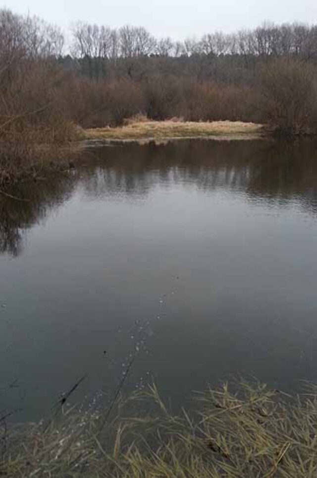 На річці Західний Буг вилучено браконьєрські сіті, в яких заплуталась риба! На річці Західний Буг вилучено браконьєрські сіті