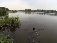 У Нововолинську вшанували пам’ять Шевченка (фото/відео) У Нововолинську вшанували пам’ять Шевченка (фото/відео)