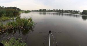 У Нововолинську вшанували пам’ять Шевченка (фото/відео) У Нововолинську вшанували пам’ять Шевченка (фото/відео)