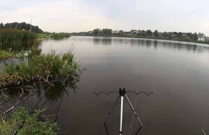 У Нововолинську вшанували пам’ять Шевченка (фото/відео) У Нововолинську вшанували пам’ять Шевченка (фото/відео)