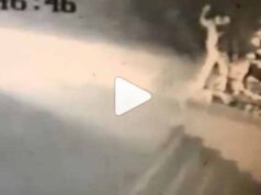 Біля супермаркету «Рідний край» дісталось святковій ялинці! (ВІДЕО) Біля супермаркету «Рідний край» дісталось святковій ялинці! (ВІДЕО)