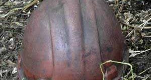 На шахті №9 загинув гірник! На шахті №9 загинув гірник!