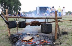 Фестиваль “Княжий” день перший Фестиваль "Княжий" день перший