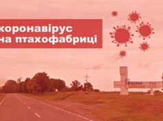 На Володимир-Волинській птахофабриці спалах коронавірусу На Володимир-Волинській птахофабриці спалах коронавірусу