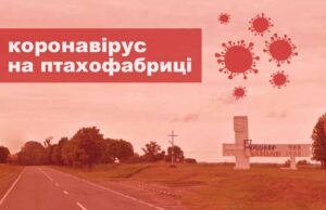На Володимир-Волинській птахофабриці спалах коронавірусу На Володимир-Волинській птахофабриці спалах коронавірусу