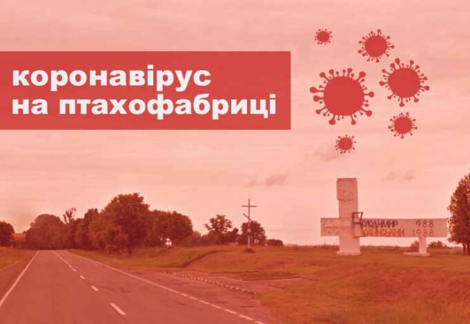На Володимир-Волинській птахофабриці спалах коронавірусу На Володимир-Волинській птахофабриці спалах коронавірусу