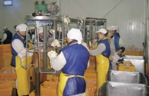 Працівники підприємства волинського нардепа Сергія Мартиняка скаржаться на жахливі умови праці Працівники підприємства волинського нардепа Сергія Мартиняка скаржаться на жахливі умови праці