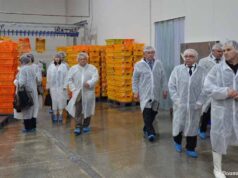 Губернатор ознайомився з роботою АПГ «Пан Курчак» у Нововолинську Губернатор ознайомився з роботою АПГ «Пан Курчак» у Нововолинську