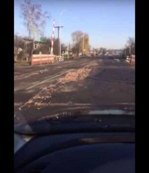 kurchakvidxody В районі «Курчака» по дорозі розкидані курячі відходи