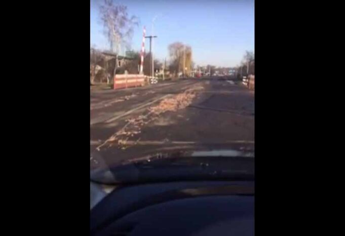 В районі «Курчака» по дорозі розкидані курячі відходи В районі «Курчака» по дорозі розкидані курячі відходи