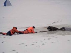 Рятувальники закликають громадян не виходити на тонку кригу на ставках, річках та інших водоймах Рятувальники закликають громадян не виходити на тонку кригу на ставках