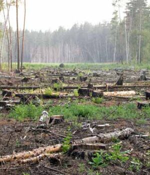 Волинь приєдналась до областей