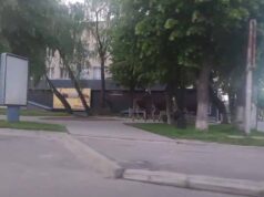 У Нововолинську біля АТБ помітили кількох лосів (ВІДЕО) У Нововолинську біля АТБ помітили кількох лосів (ВІДЕО)