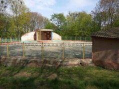 Танцмайданчик в центральному парку перетворять на вільний простір для відпочинку Танцмайданчик в центральному парку перетворять на вільний простір для відпочинку